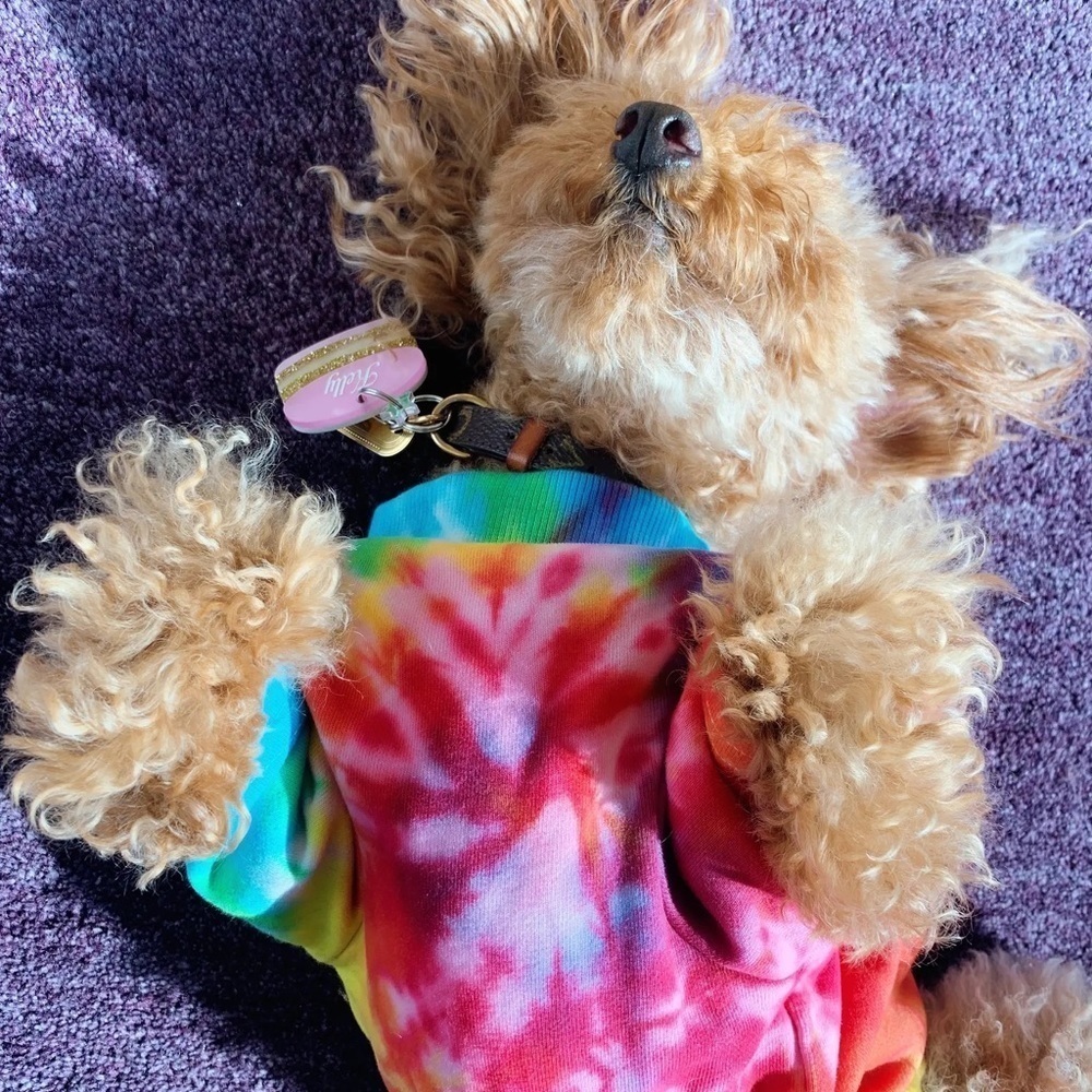 🍄HOST PICK🍄Tie-Dye Dog Tee by LoveThyBeast, Size Small, NWT - Picture 6 of 10